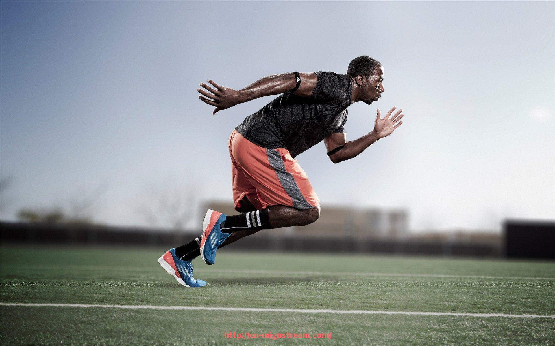 咪咕体育直播-健身器材6组组合方案及训练计划推荐